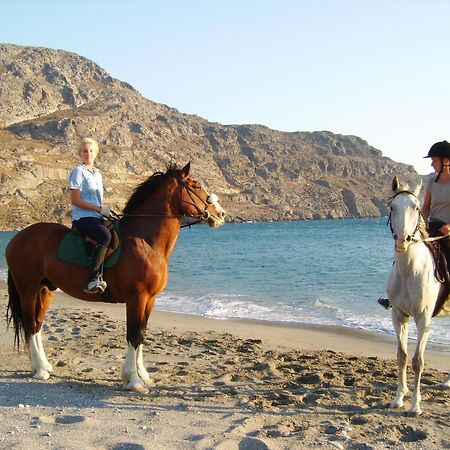 Alianthos Beach Hotel Plakias Exteriör bild