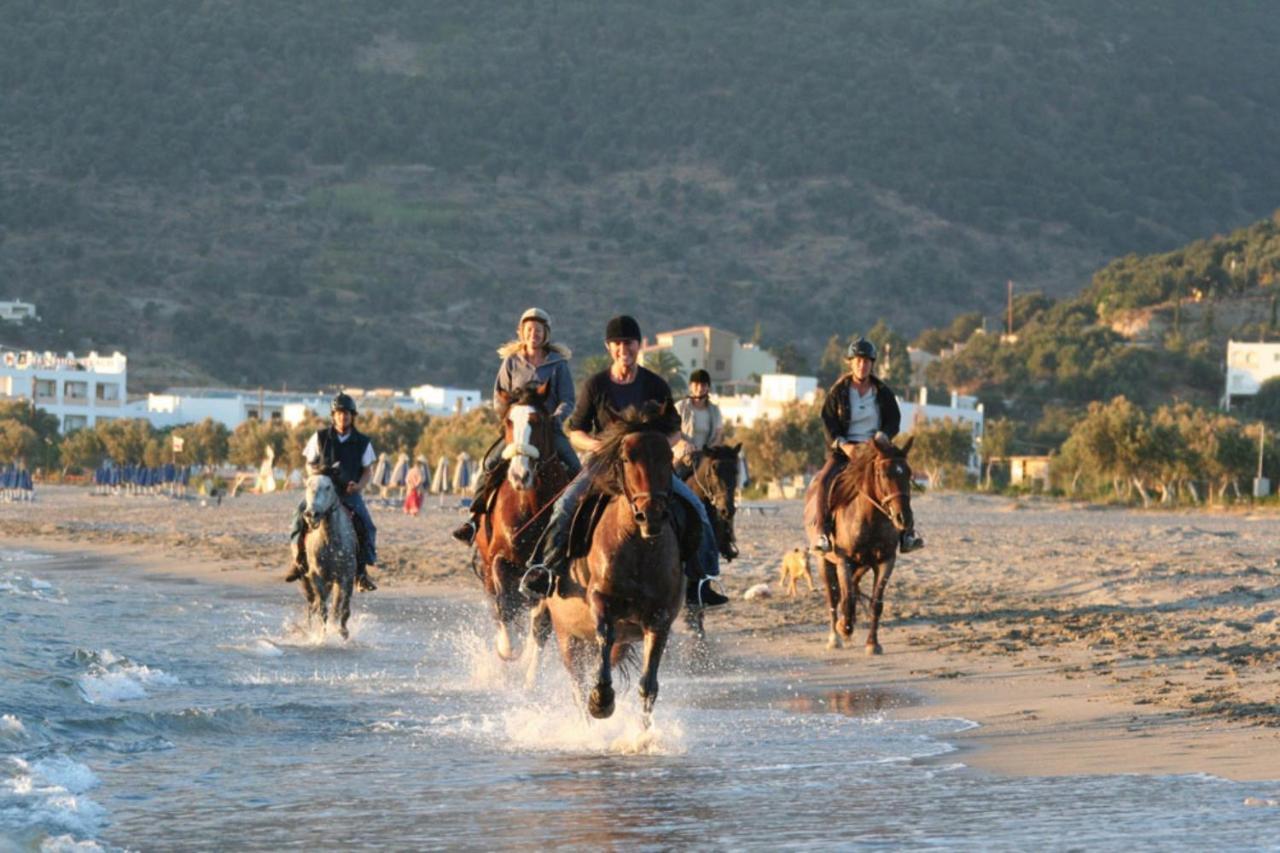 Alianthos Beach Hotel Plakias Exteriör bild